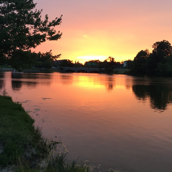 Meet your Posher, Maraida - Picture 1 of 1